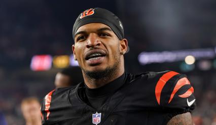 他不但审视 他不但审视